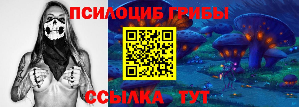 Псилоцибиновые грибы мицелий Владивосток